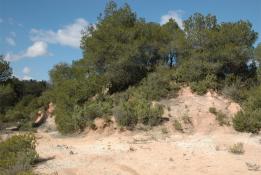 Capella de Sant Martí del Corregó 1