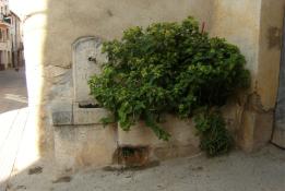 Font del raval de Roselló 1