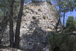 Castell de Vallespinosa 1