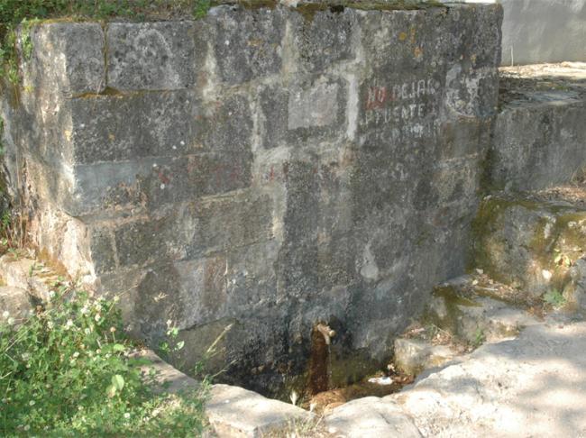 Font de Vallespinosa 1