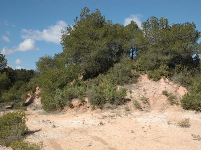 Capella de Sant Martí del Corregó 1