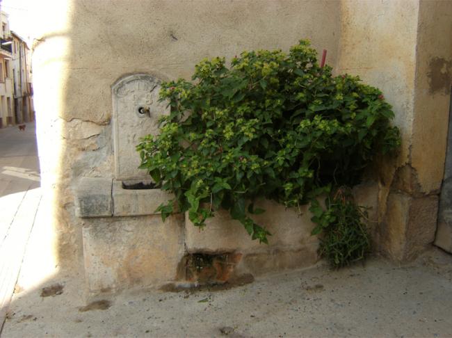 Font del raval de Roselló 1