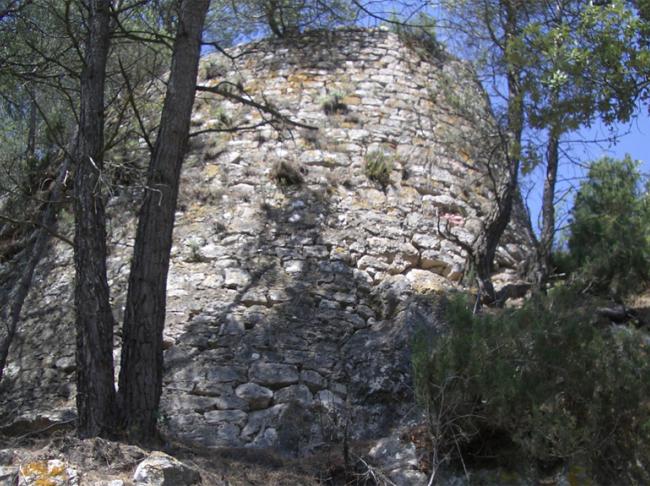 Castell de Vallespinosa 1