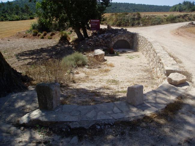 Font de Vilaperdius 1