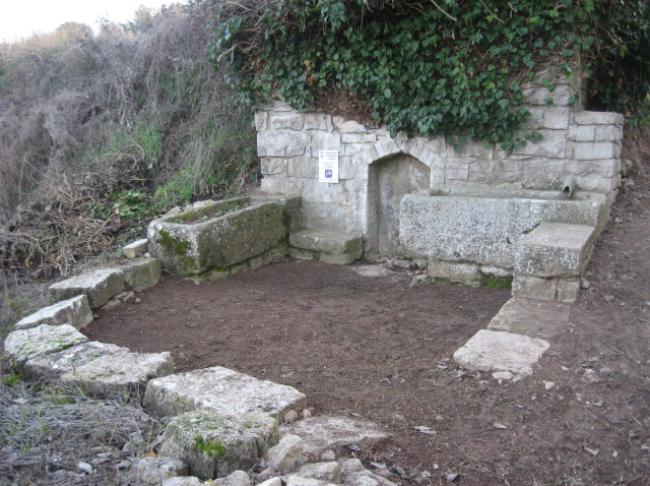 Font de la Sala 1