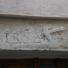C. Prim, 16 2