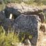 Dolmen de Plans de Ferran 3